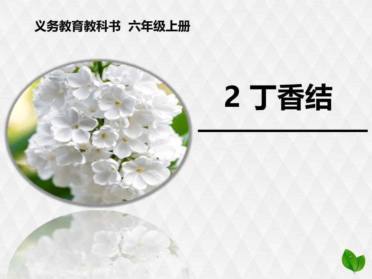 六上《丁香结》课件第1页