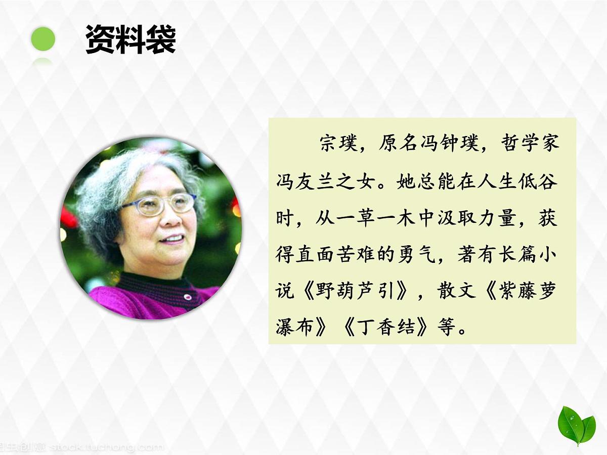 六上《丁香结》课件第2页
