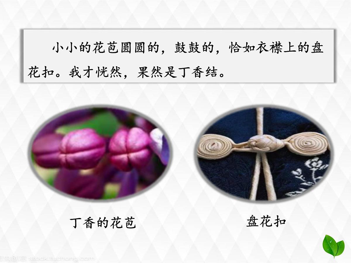 六上《丁香结》课件第4页