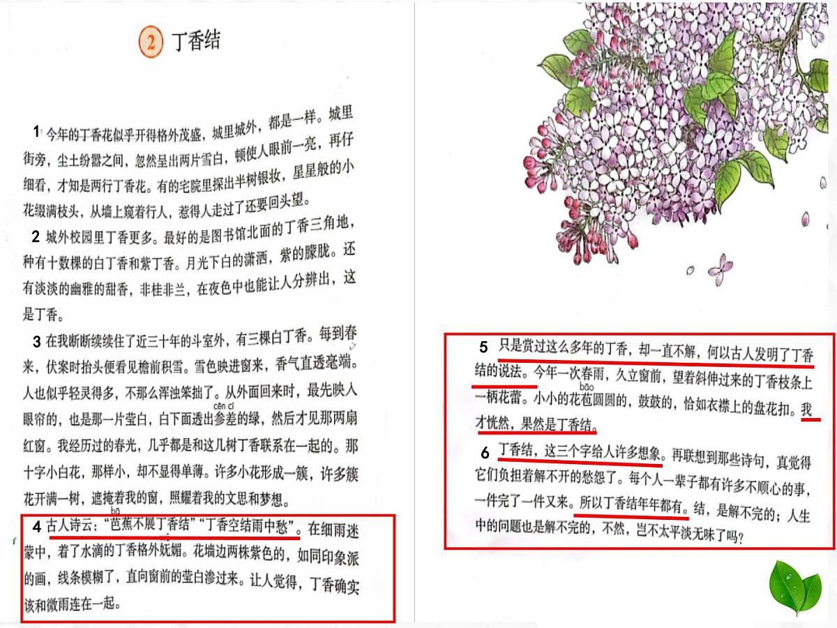 六上《丁香结》课件第5页