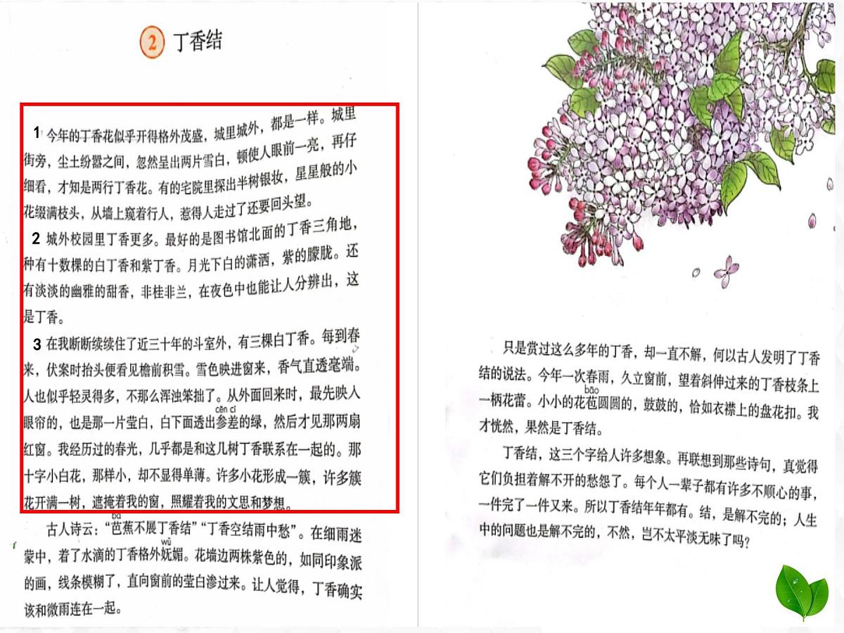 六上《丁香结》课件第6页