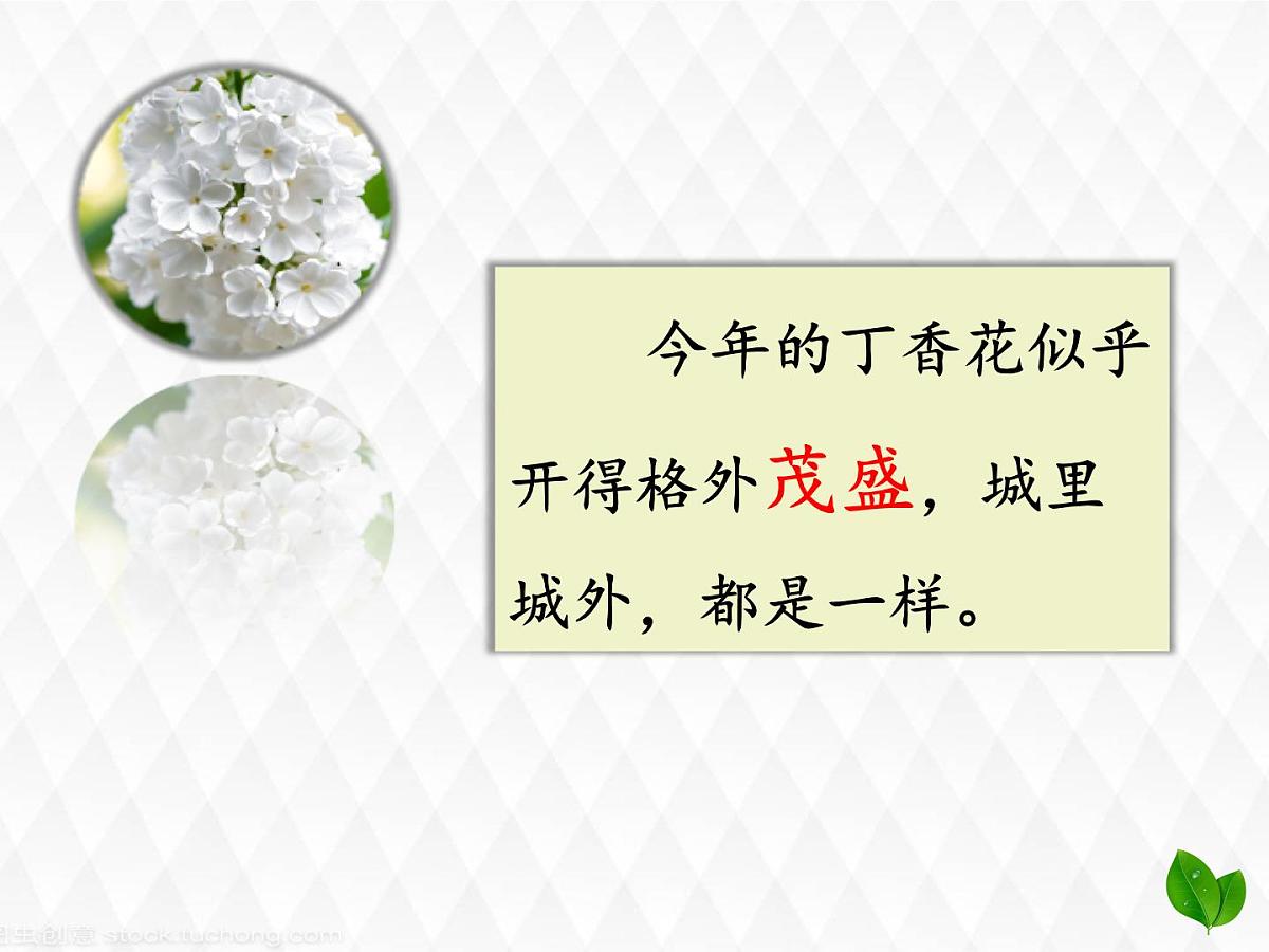 六上《丁香结》课件第7页