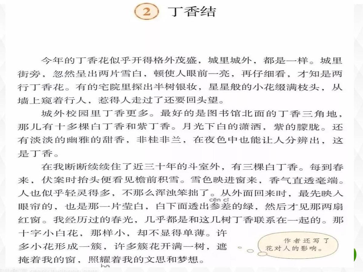 六上《丁香结》课件第8页