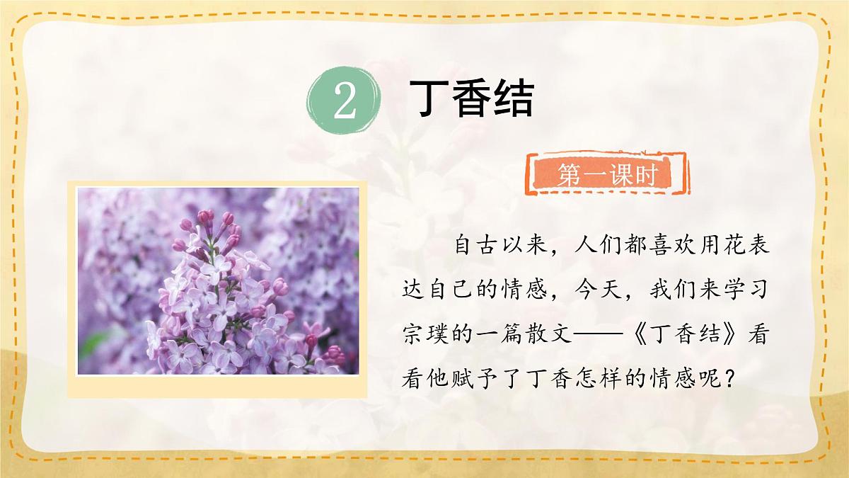 六年级语文上册教学课件《2 丁香结》第1页