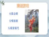 部編版小學(xué)語(yǔ)文四年級(jí)上冊(cè)《習(xí)作：我的家人》課件+教案