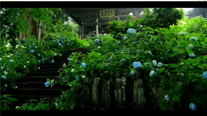 统编版六年级语文下册古诗词诵读3春夜喜雨 课件第2页