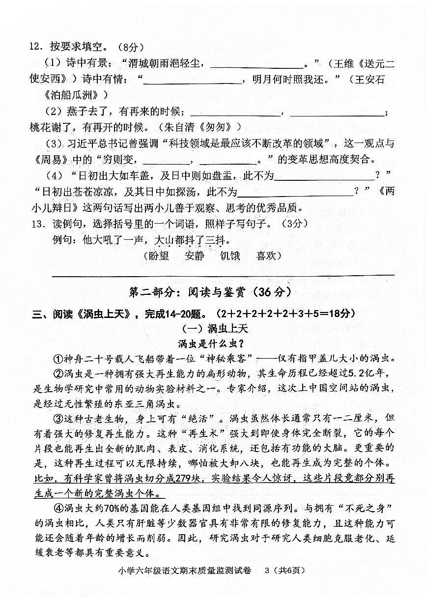 福建省龙岩市新罗区2024-2025学年六年级下学期6月期末语文试题第3页