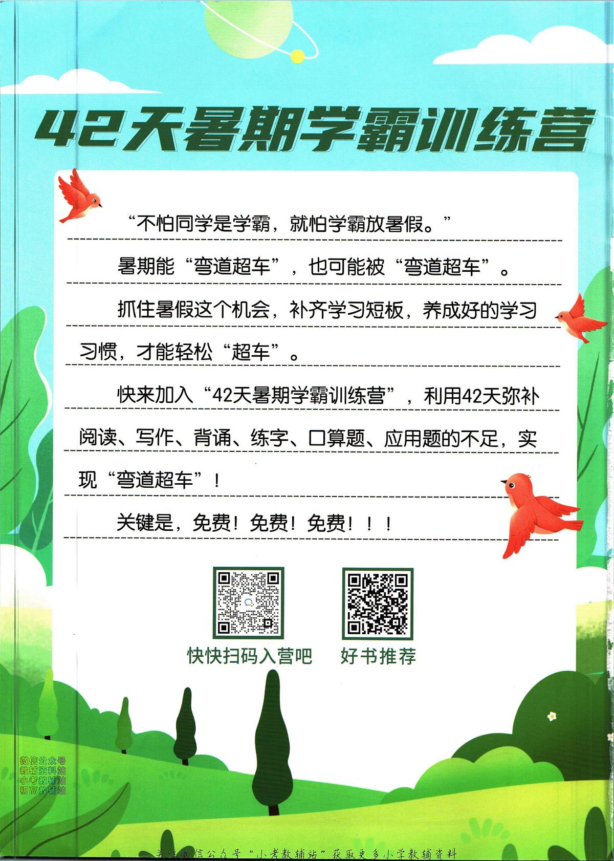 暑假作业暑假应用题一年级下学期衔接数学复习期末试卷语文第2页