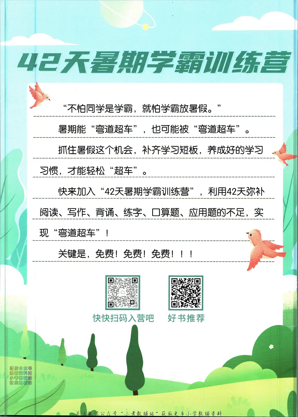 暑假作业暑假看图写话一年级下学期衔接语文复习期末试卷语文第2页
