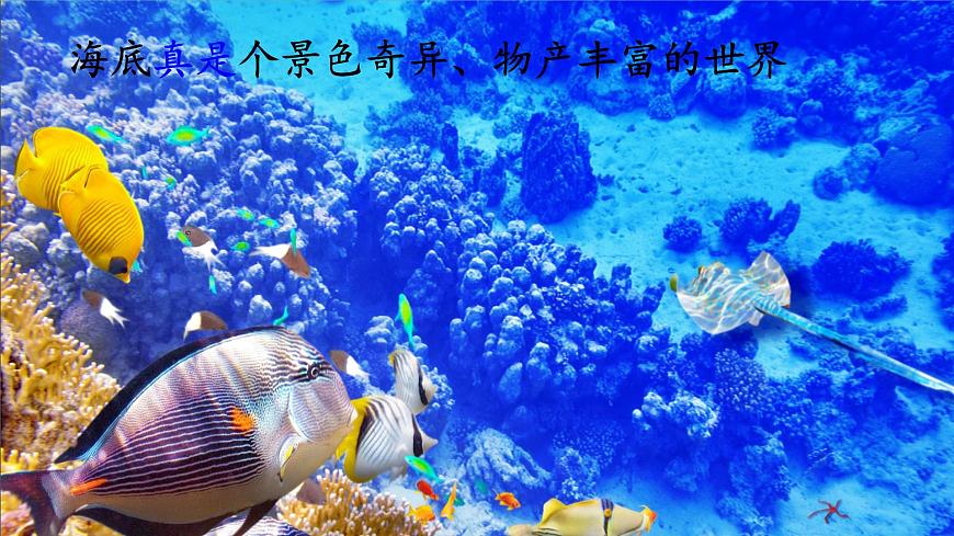统编版语文三年级下册23.《海底世界》课件第8页
