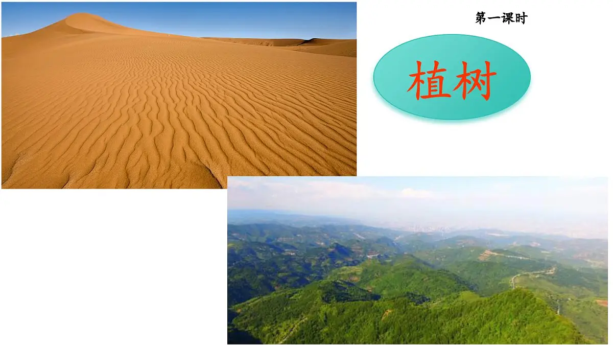 (部编版)小学语文二年级下册第一单元第4课《邓小平爷爷植树》课件第1页