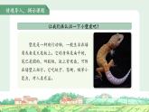 20小壁虎借尾巴 第1課時 課件 語文統(tǒng)編版（2024）一年級下冊第八單元教案