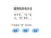 3.植物媽媽有辦法(課件)2025-2026學(xué)年統(tǒng)編版二年級語文上冊