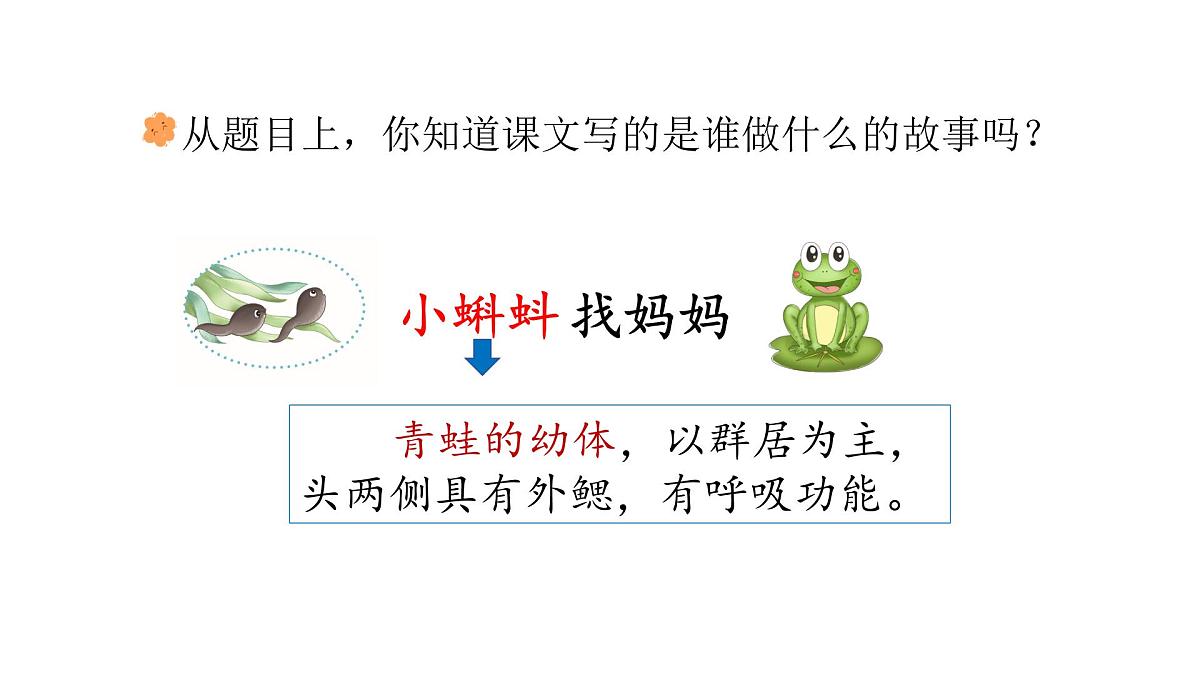 1.小蝌蚪找妈妈(课件)2025-2026学年统编版二年级语文上册第5页