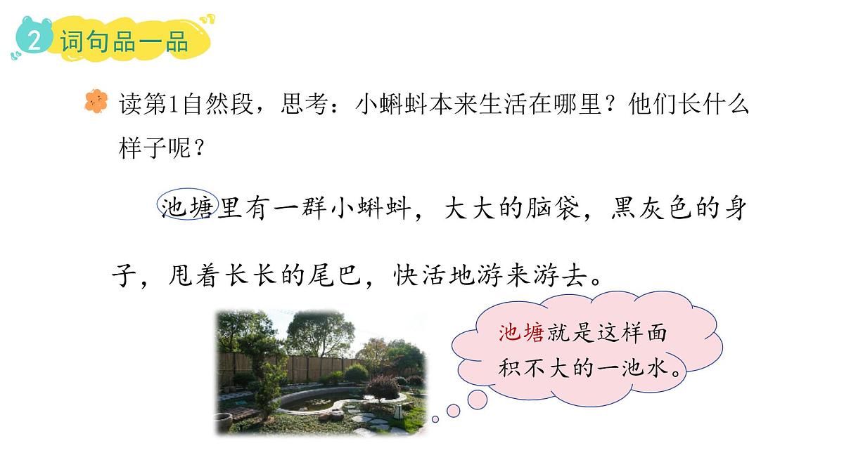 1.小蝌蚪找妈妈(课件)2025-2026学年统编版二年级语文上册第8页
