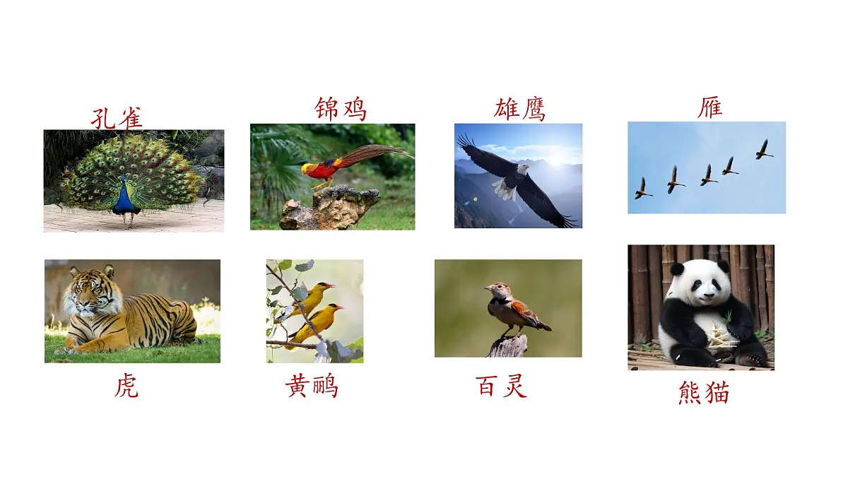 3.拍手歌(课件)2025-2026学年统编版二年级语文上册第6页