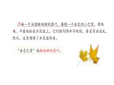 5.鋪滿金色巴掌的水泥道(課件)2025-2026學(xué)年統(tǒng)編版三年級(jí)語(yǔ)文上冊(cè)