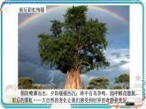 部編版小學(xué)語文五年級上冊第七單元習(xí)作《_________即景》課件（2課時）+教案（2課時）