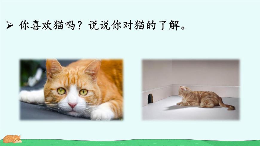 统编版小学语文四年级下册第13课《 猫》课件第1页