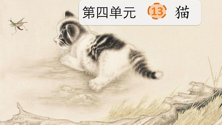 统编版小学语文四年级下册第13课《 猫》课件第2页
