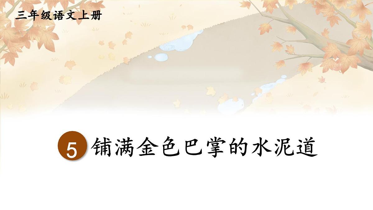 5 铺满金色巴掌的水泥道第3页