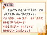 部編版（2024）語文三年級(jí)上冊(cè) 5 鋪滿金色巴掌的水泥道（課件+教案）