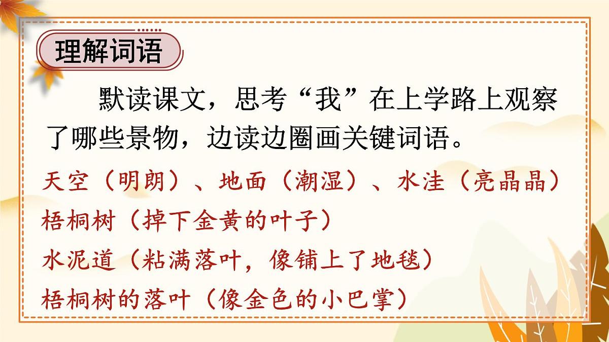 5 铺满金色巴掌的水泥道第4页