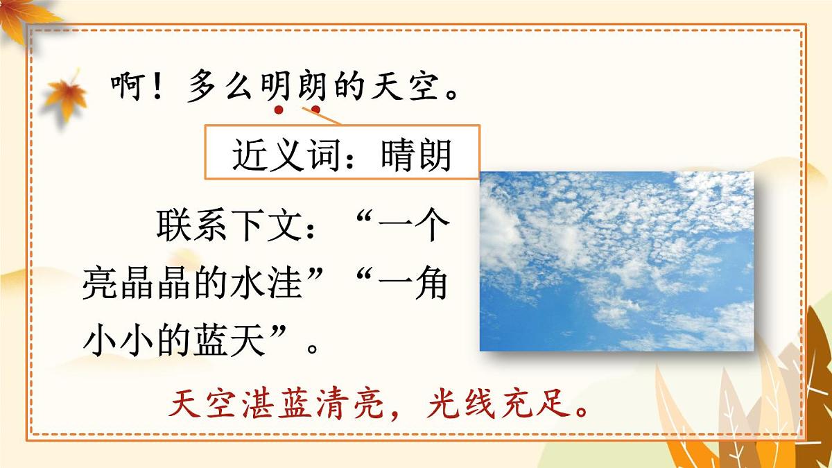 5 铺满金色巴掌的水泥道第7页