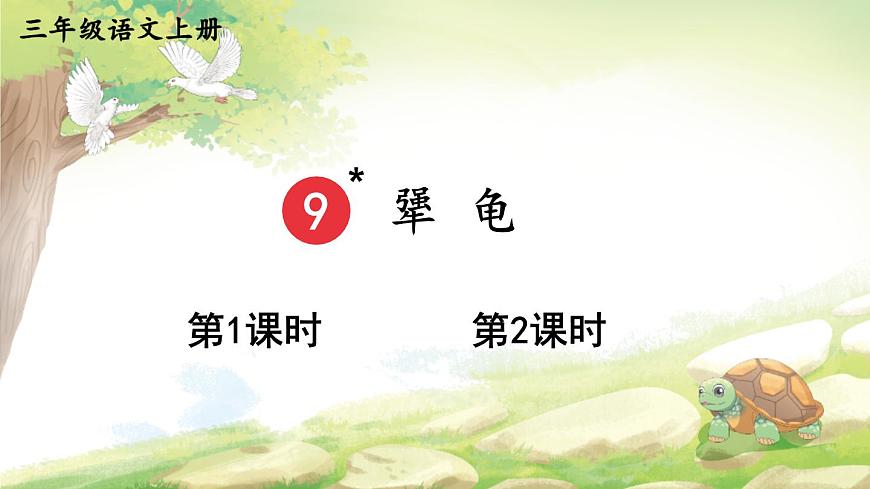 小学语文统编版(2024)三年级上册(2024)9 犟龟图片课件ppt-课件下载-教习网