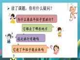 部編版（2024）語(yǔ)文三年級(jí)上冊(cè) 11 在牛肚子里旅行（課件+教案）