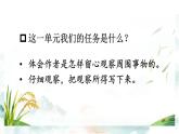 部編版（2024）語文三年級(jí)上冊(cè) 14 搭船的鳥（課件+教案）