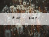 部編版（2024）語文三年級上冊 15 金色的草地（課件+教案）