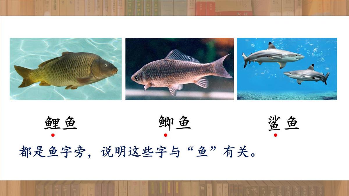 语文园地七第8页