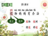 部編版（2024）語文二年級上冊 3 植物媽媽有辦法（課件+教案）