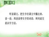 部編版（2024）語文二年級上冊 3 植物媽媽有辦法（課件+教案）