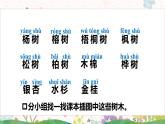 部編版（2024）語文二年級(jí)上冊(cè) 2 樹之歌（課件+教案）