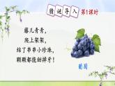部編版（2024）語文二年級上冊 10 葡萄溝（課件+教案）