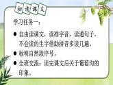 部編版（2024）語文二年級上冊 10 葡萄溝（課件+教案）