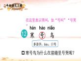 部編版（2024）語(yǔ)文二年級(jí)上冊(cè) 12 寒號(hào)鳥(niǎo)（課件+教案）