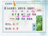 部編版（2024）語(yǔ)文二年級(jí)上冊(cè) 13 我要的是葫蘆（課件+教案）
