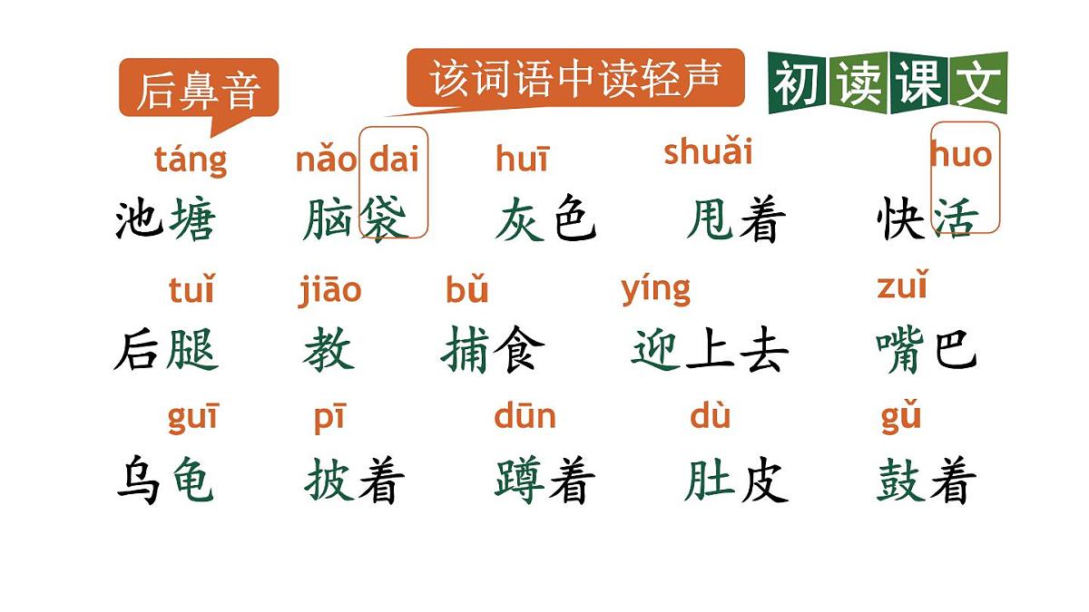 小学语文新部编版二年级上册第一单元1 小蝌蚪找妈妈教学课件（2025秋）第3页