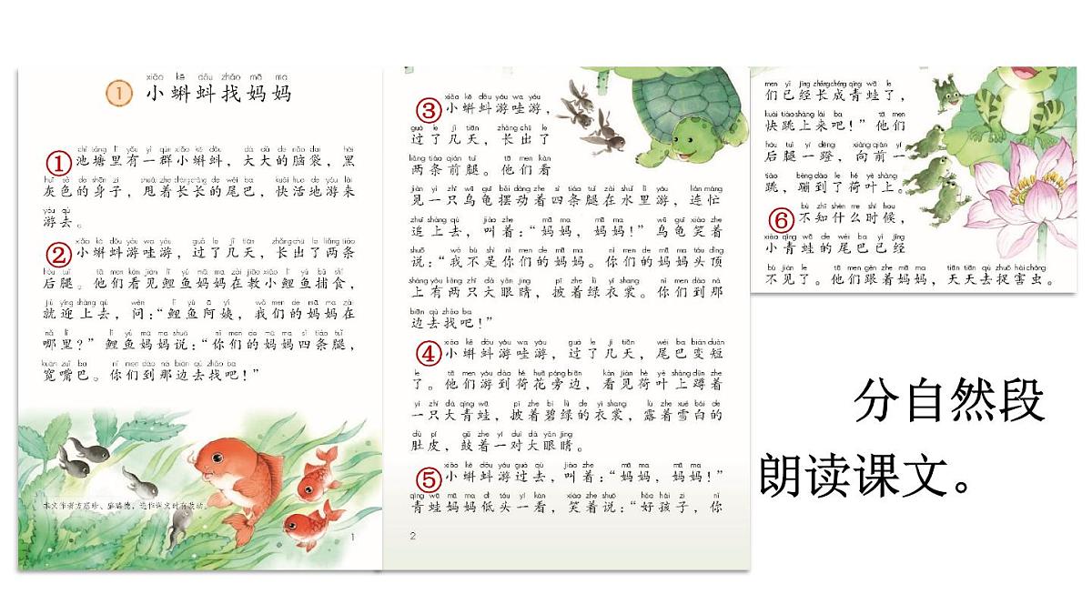小学语文新部编版二年级上册第一单元1 小蝌蚪找妈妈教学课件（2025秋）第7页