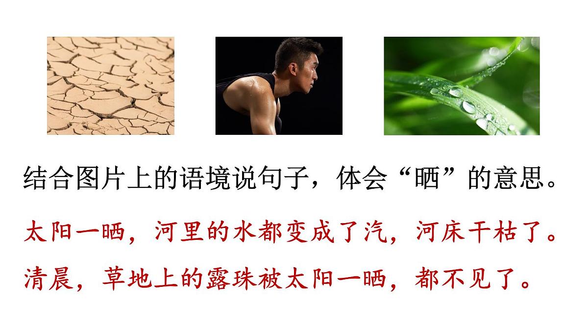 小学语文新部编版二年级上册第一单元2 我是什么教学课件（2025秋）第7页