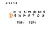 小學(xué)語文新部編版二年級上冊第一單元3 植物媽媽有辦法教學(xué)課件（2025秋）