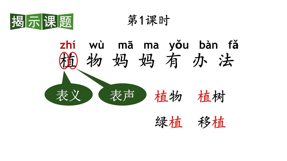 小学语文新部编版二年级上册第一单元3 植物妈妈有办法教学课件（2025秋）第2页