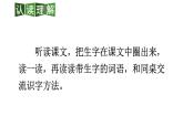 小學(xué)語文新部編版二年級上冊第一單元3 植物媽媽有辦法教學(xué)課件（2025秋）