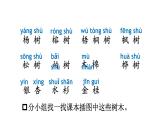 小學(xué)語文新部編版二年級(jí)上冊(cè)第二單元2 樹之歌教學(xué)課件（2025秋）