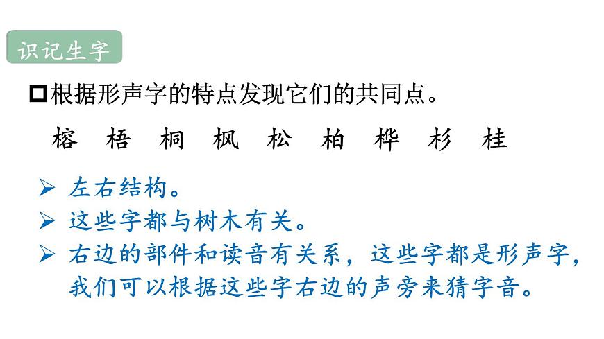 小学语文新部编版二年级上册第二单元2 树之歌教学课件（2025秋）第6页