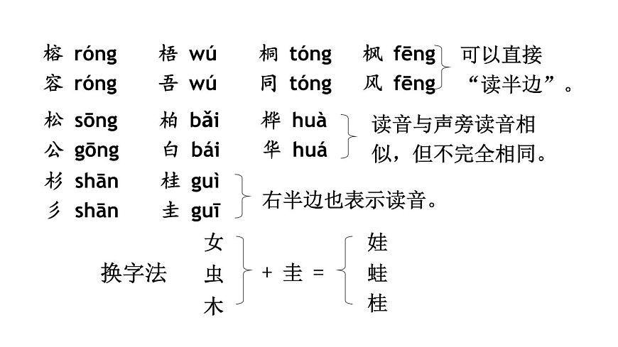 小学语文新部编版二年级上册第二单元2 树之歌教学课件（2025秋）第7页