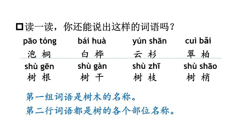 小学语文新部编版二年级上册第二单元2 树之歌教学课件（2025秋）第8页